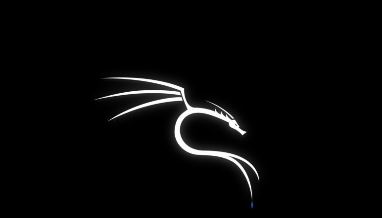 KaliLinux IMG